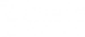 Original Sports logo small white WEB