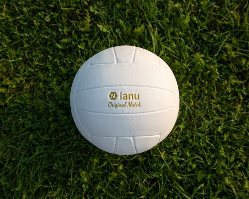 ianu_volleyball_2_02 ianu_volleyball_2_02